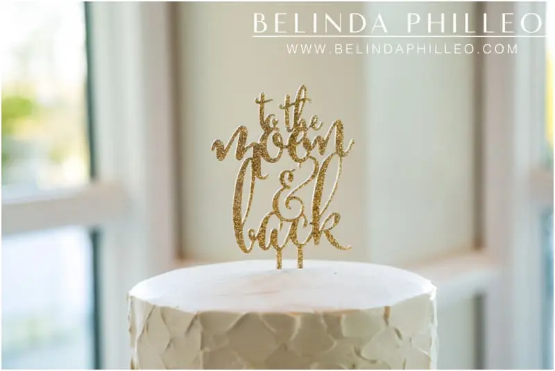 To the Moon and Back wedding cake topper