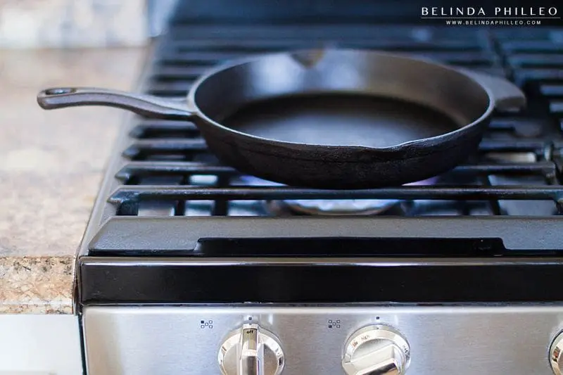 Lodge cast iron skillet