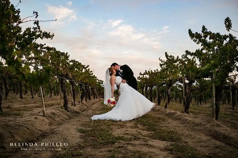 Highlights of Wedding at Ponte Winery | Temecula, CA
