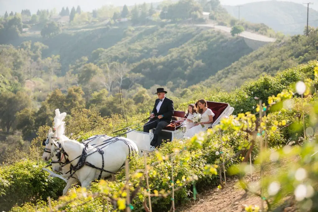 Serendipity Garden Weddings