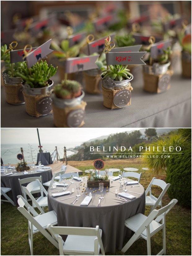 succulents as guest gifts | pacific palisades wedding