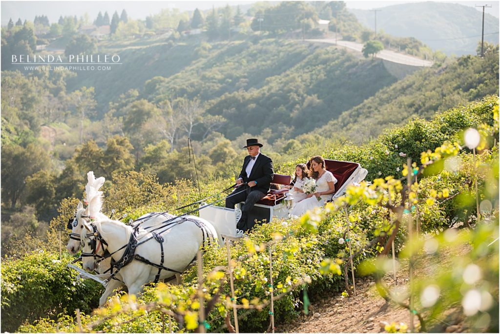 bride arrives to her ceremony on a horse drawn carriage at Serendipity Gardens in Oak Glen, California