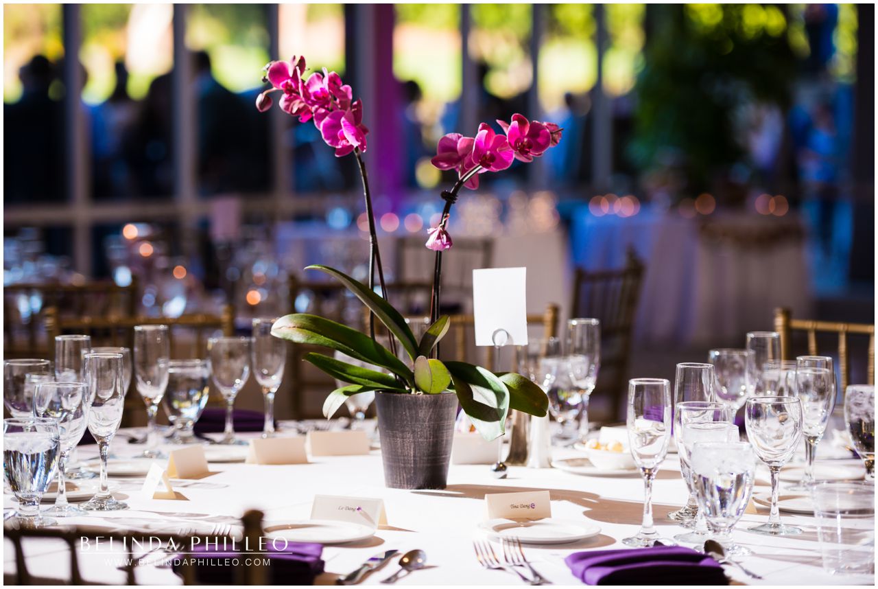 Purple Orchid Centerpieces Friendly HIlls Country Club Wedding Reception