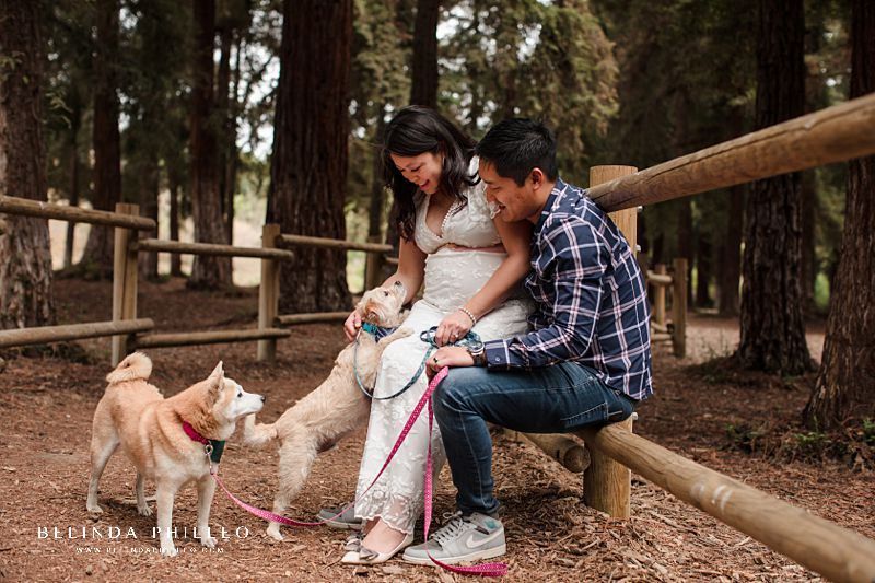Pet parents maternity session in redwoods